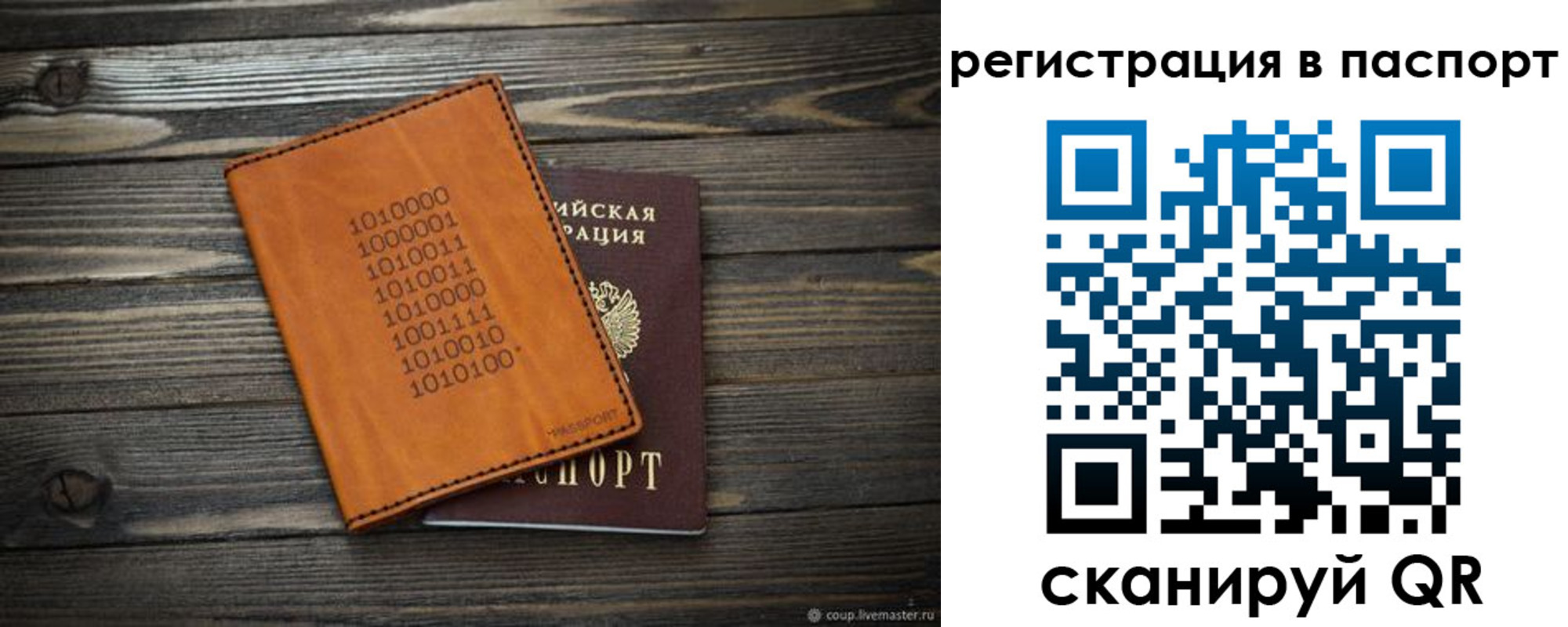 прописка для школы в Краснодарском крае